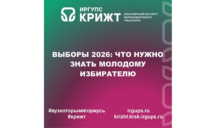 Выборы 2026: Что нужно знать молодому избирателю
