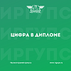 Цифра в дипломе!