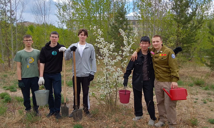 Аллею к 50-летию БАМа благоустраивают бойцы студотрядов ЗабИЖТ