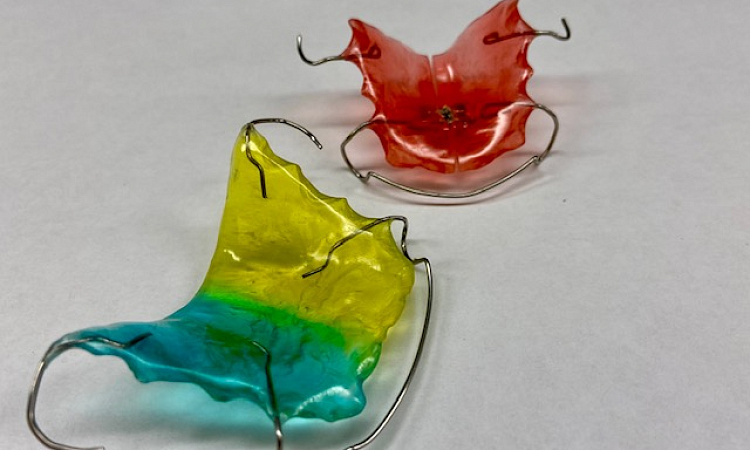 В МК ЖТ прошел мастер-класс по теме: «Изготовление ортодонтических аппаратов» 