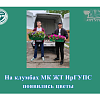 На клумбах МК ЖТ ИрГУПС появились цветы
