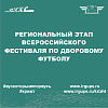 Региональный этап всероссийского фестиваля по дворовому футболу