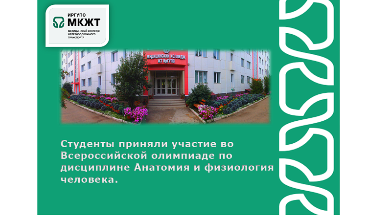 Студенты приняли участие во Всероссийской олимпиаде по дисциплине Анатомия и физиология человека