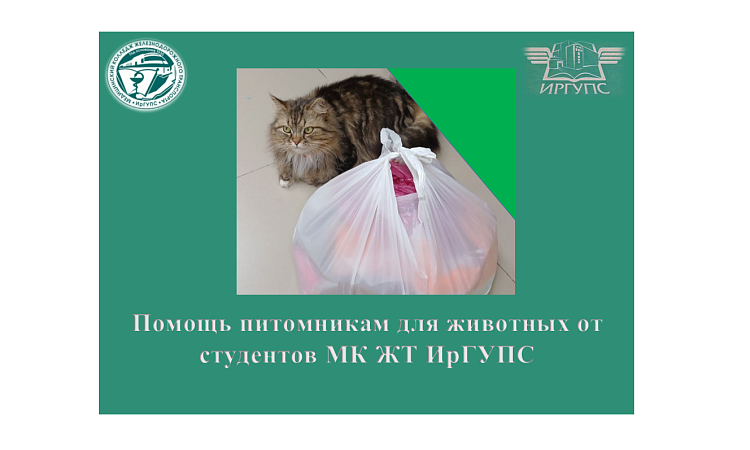 Помощь питомникам для животных от студентов МК ЖТ ИрГУПС