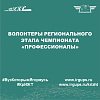 Волонтеры Регионального этапа чемпионата «Профессионалы» 
