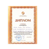 Студентка УУКЖТ ИРГУПС Нетесова Валерия стала победителем в научно- практической конференции