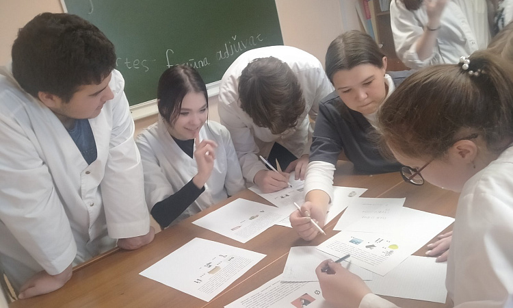 Квест «Veni, vidi, vici»  («Пришёл, увидел, победил»)