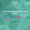 В ИрГУПС можно поступить через "Госуслуги"