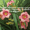 Поздравление с 8 марта