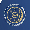  С 1 декабря начинается регистрация на межвузовскую олимпиаду «Золотой фонд Сибири»