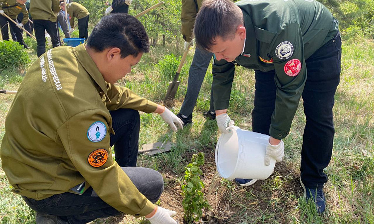 Аллея в честь 50-летия БАМа появилась в ЗабИЖТ